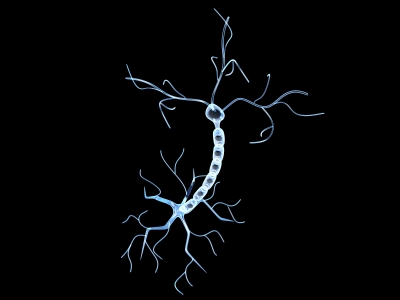 Открыт механизм, разрушающий нейроны при боковом амиотрофическом склерозе